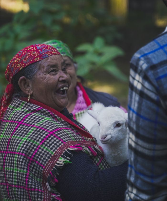 Elderly South Asian woman smiling with a lamb wrapped in a colorful shawl outdoors in Himachal Pradesh, India.